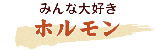 みんな大好きホルモン