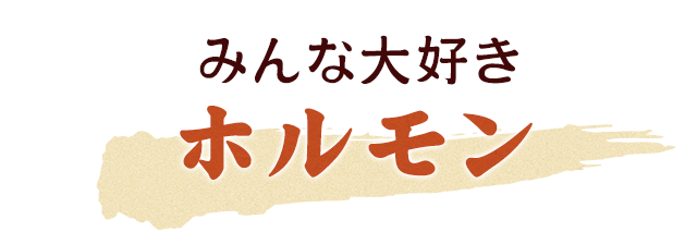 みんな大好きホルモン